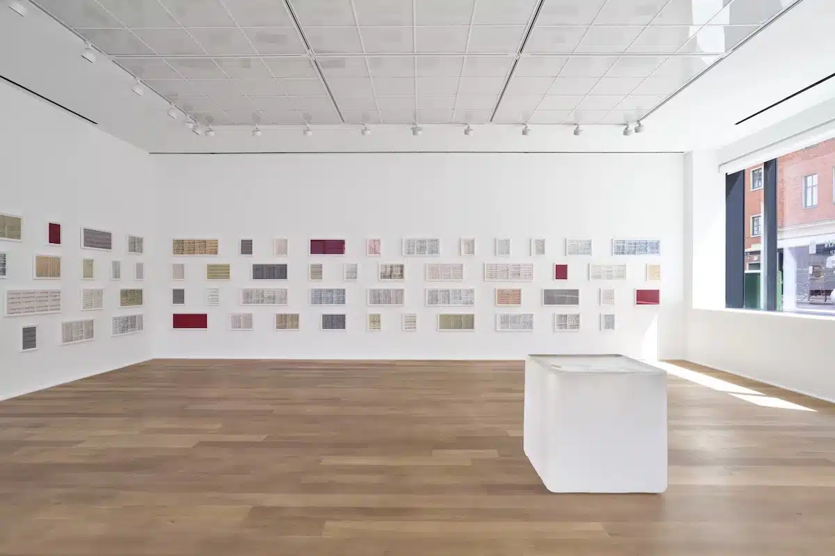 Roni Horn: Embracing Identity Through Art - Artlyst