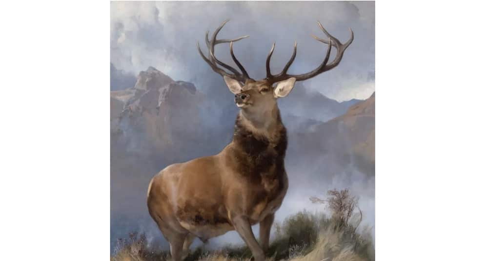 FIG. 1 EDWIN LANDSEER, MONARCH OF THE GLEN, CIRCA 1851. OIL ON CANVAS, 163.8 X 163.9 CM. NATIONAL GALLERIES SCOTLAND, EDINBURGH. © WIKIMEDIA