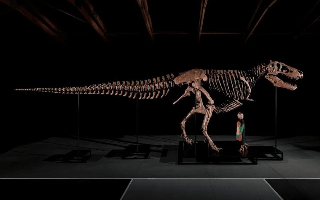 T. Rex Fossil Sells For $50.1 Million Setting New Auction Record At Sotheby’s