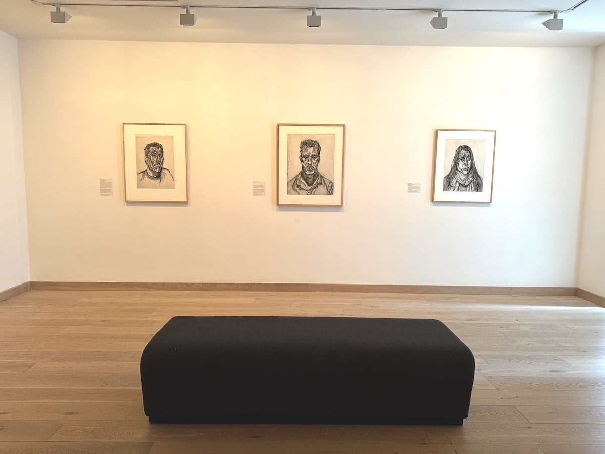 Moore Freud, Hastings Contemporary