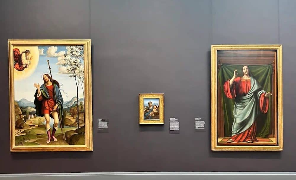 Da Vinci Met Museum