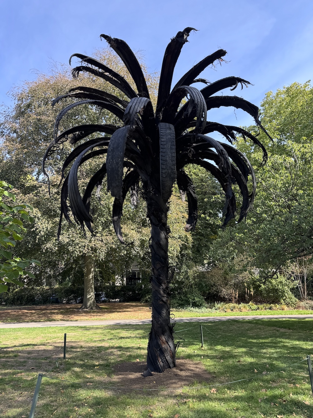 Douglas White Black Palm 2026