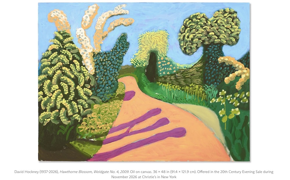 David Hockney C