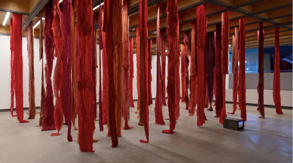 Cecilia Vicuña,Whitechapel Gallery